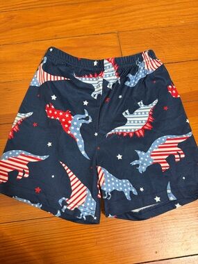 SHEIN Navy Red White & Blue Dino Swim Shorts
